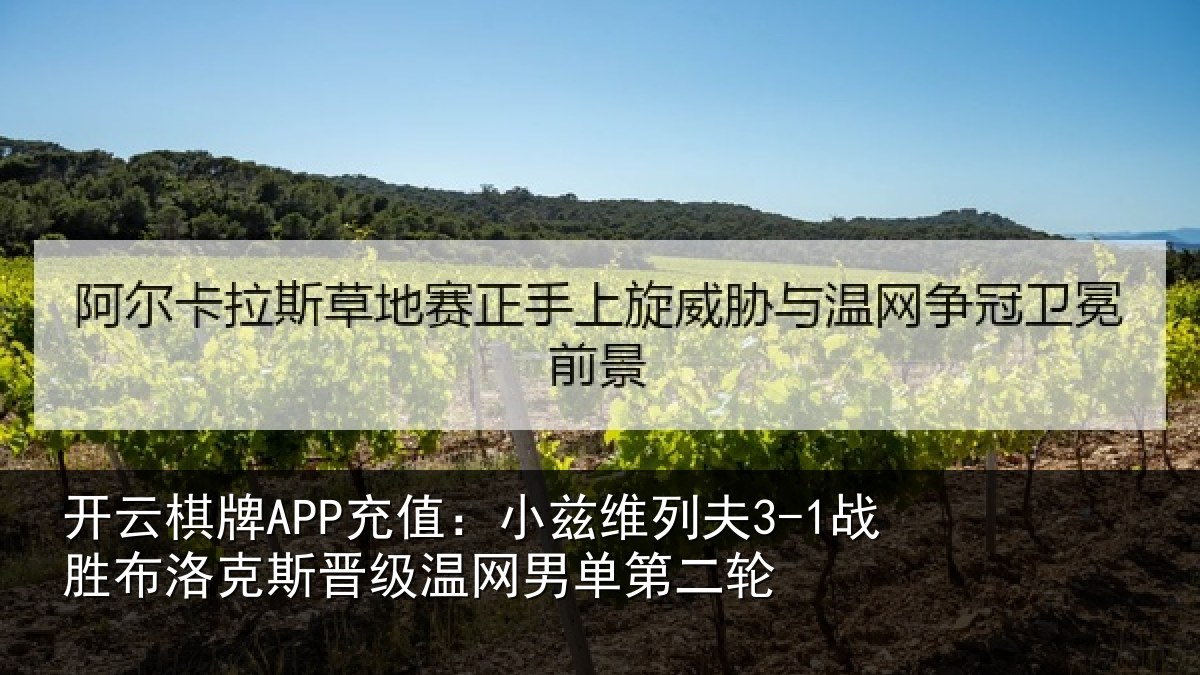 开云棋牌APP充值：小兹维列夫3-1战胜布洛克斯晋级温网男单第二轮