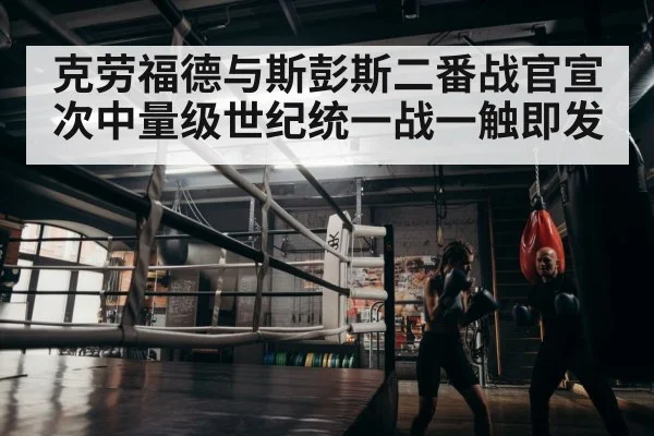 boxer training