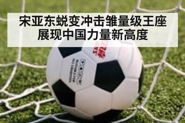宋亚东蜕变冲击雏量级王座展现中国力量新高度